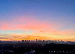 d'leedon photo thumbnail #17